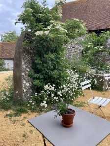 A Weekend of Words and Wonder